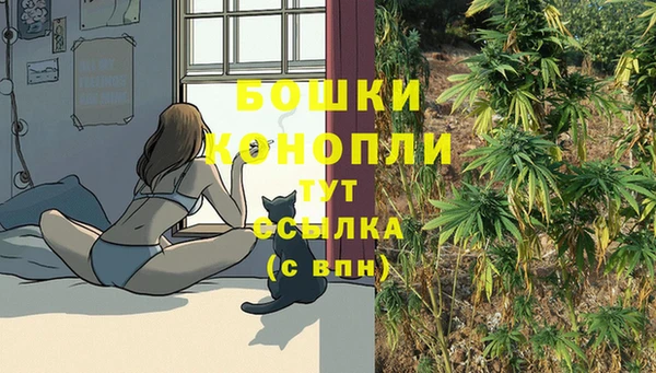 ешки Волосово