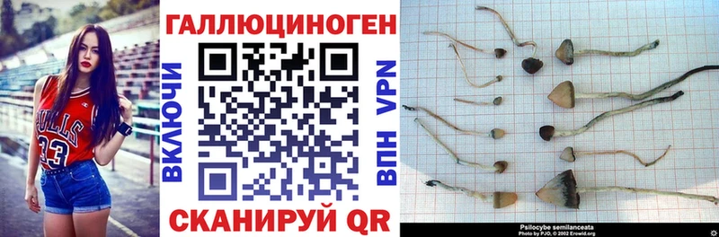 Псилоцибиновые грибы ЛСД Красноярск
