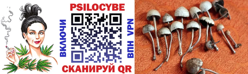 Псилоцибиновые грибы ЛСД  купить наркотик  Красноярск 